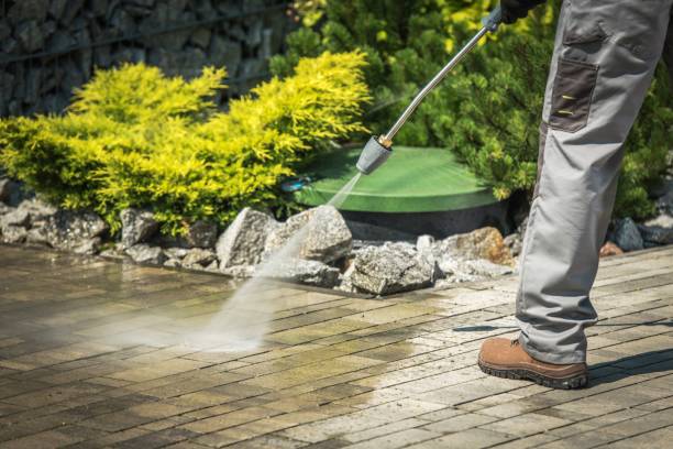 Best Sidewalk and Walkway Cleaning  in Sunrise, FL