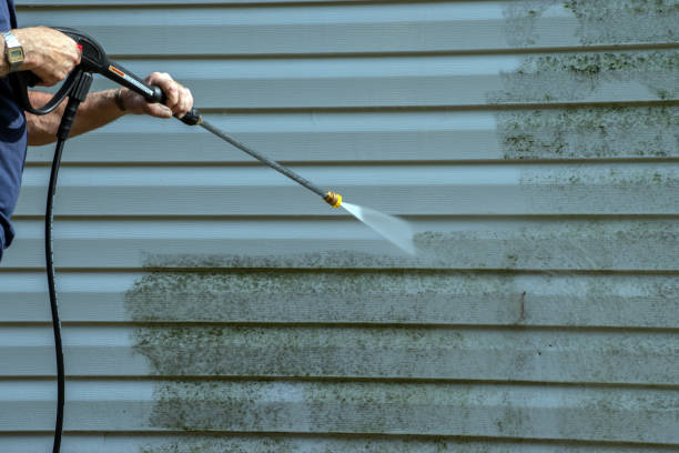 Best Roof Washing  in Sunrise, FL